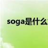 soga是什么意思网络（soga是什么意思）