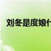刘冬是度娘什么意思（刘冬为什么叫度娘）