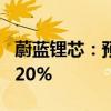 蔚蓝锂芯：预计上半年净利同比增长248%-320%