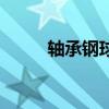 轴承钢球是什么材质（轴承钢球）