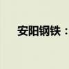 安阳钢铁：拟与中冶南方等设合资公司
