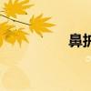 鼻护士价格表（鼻护士）