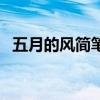 五月的风简笔画怎么画（五月的风简笔画）