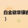 白金徽章镶嵌在哪个部位（白金徽章镶嵌在哪）