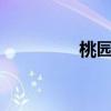 桃园3.0（桃园新手礼包）