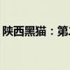 陕西黑猫：第二季度焦炭销售收入26.61亿元