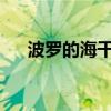波罗的海干散货运价指数止住五日跌势