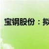 宝钢股份：拟7.17亿元收购并增资湖北森泰