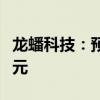 龙蟠科技：预计上半年净亏损1.82亿元-2.3亿元