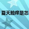 夏天脸痒是怎么办（夏天脸痒的难受怎么办）