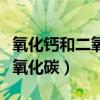 氧化钙和二氧化碳反应的方程式（氧化钙和二氧化碳）