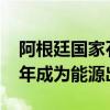 阿根廷国家石油公司CEO：阿根廷将在2031年成为能源出口国