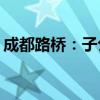 成都路桥：子公司拟收购驰昌建设100%股权