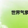 世界气象组织发布沙尘暴年度报告