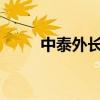 中泰外长磋商机制举行第二次会议