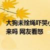 大狗未拴绳吓哭小孩家长质问遭回怼：这么大的小孩不拴起来吗 网友看怒
