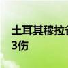 土耳其穆拉省一旅游巴士发生车祸 已致3死33伤