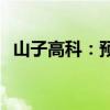 山子高科：预计上半年亏损降至6亿-8亿元
