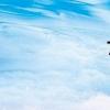 7月15日涨停分析
