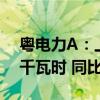 粤电力A：上半年公司累计发电量568.25亿千瓦时 同比增加0.53%