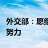 外交部：愿继续为推动海地局势恢复稳定作出努力
