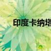 印度卡纳塔克邦发生山体滑坡 7人死亡