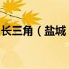 长三角（盐城）智能网联汽车试验场今起运行