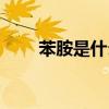 苯胺是什么共轭体系（苯胺是什么）