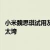 小米魏思琪试用友商小折叠：用了一周就被折磨得不行 续航太垮