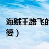 海贼王路飞的老婆是女帝吗（海贼王路飞的老婆）