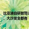 比亚迪自研智驾计划3年内下放到15万元级车型 冰箱、彩电、大沙发全都有