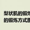 梨状肌的锻炼方式图钟摆运动怎么做（梨状肌的锻炼方式图）