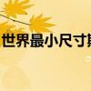 世界最小尺寸斯格明子赛道器件单元制备成功