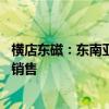 横店东磁：东南亚项目即将建成投产 储能产品已在欧洲市场销售