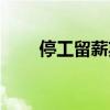 停工留薪期如何认定（停工留薪期）