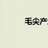 毛尖产地哪里最好（毛尖产地）