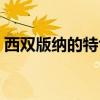 西双版纳的特色旅游资源（西双版纳的特色）