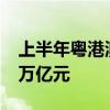 上半年粤港澳大湾区内地九市外贸总值达4.2万亿元