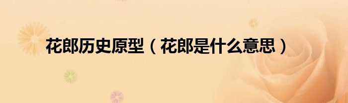花郎是什么（花郎主要讲的什么）
