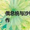 俄总统与沙特王储兼首相通电话 讨论双边合作