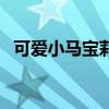 可爱小马宝莉简笔画图片（可爱小马宝莉）