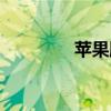 苹果股市行情（苹果股市）