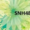 SNH48报名网址（snh48报名）