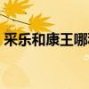 采乐和康王哪种好（采乐和康王哪个效果好）