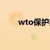 wto保护期哪年到期（wto保护期）