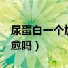尿蛋白一个加能治愈吗（尿蛋白1个加号能治愈吗）