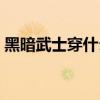黑暗武士穿什么套装（黑暗武士穿什么防具）