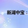 新湖中宝：衢州智宝成为公司控股股东