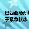 巴西亚马孙州面临严重旱情 已有20个城市处于紧急状态