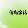 倦鸟余花 游鸿明（倦鸟余花的意思）